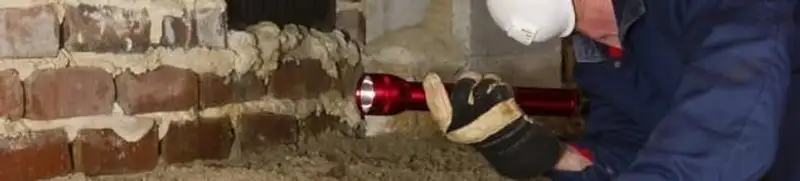 Pest control technician inspecting a crawl space for ant activity and entry points in San Diego, CA