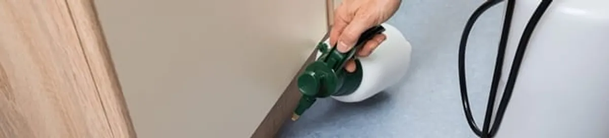 Bed bug exterminator treating baseboards and cracks with targeted spray in San Diego, CA