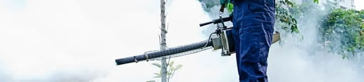 Pest control technician fogging an outdoor area for insect control in San Diego, CA