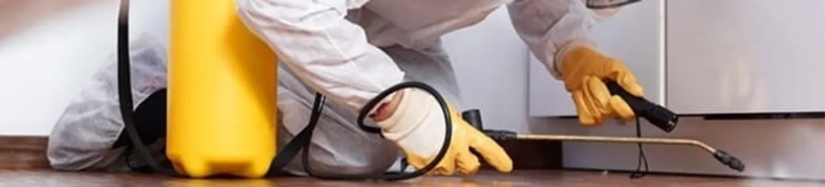 Roach exterminator treating cracks and crevices along kitchen baseboards in San Diego, CA