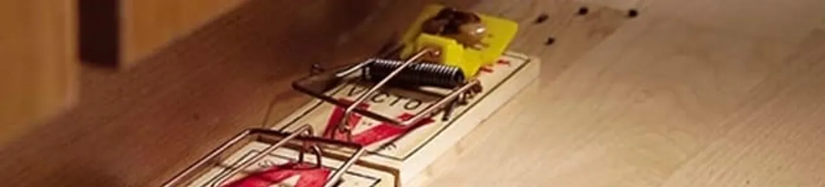 Rodent trap set indoors for rodent control and prevention in San Diego, CA